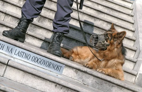 S psom ujeli vodiča