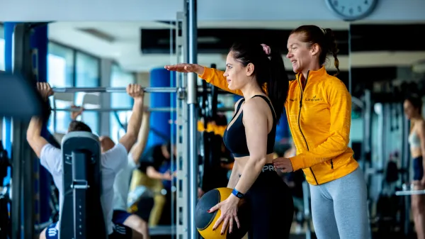 Lesport nudi partnerstvo
